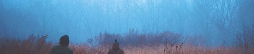 WISIT